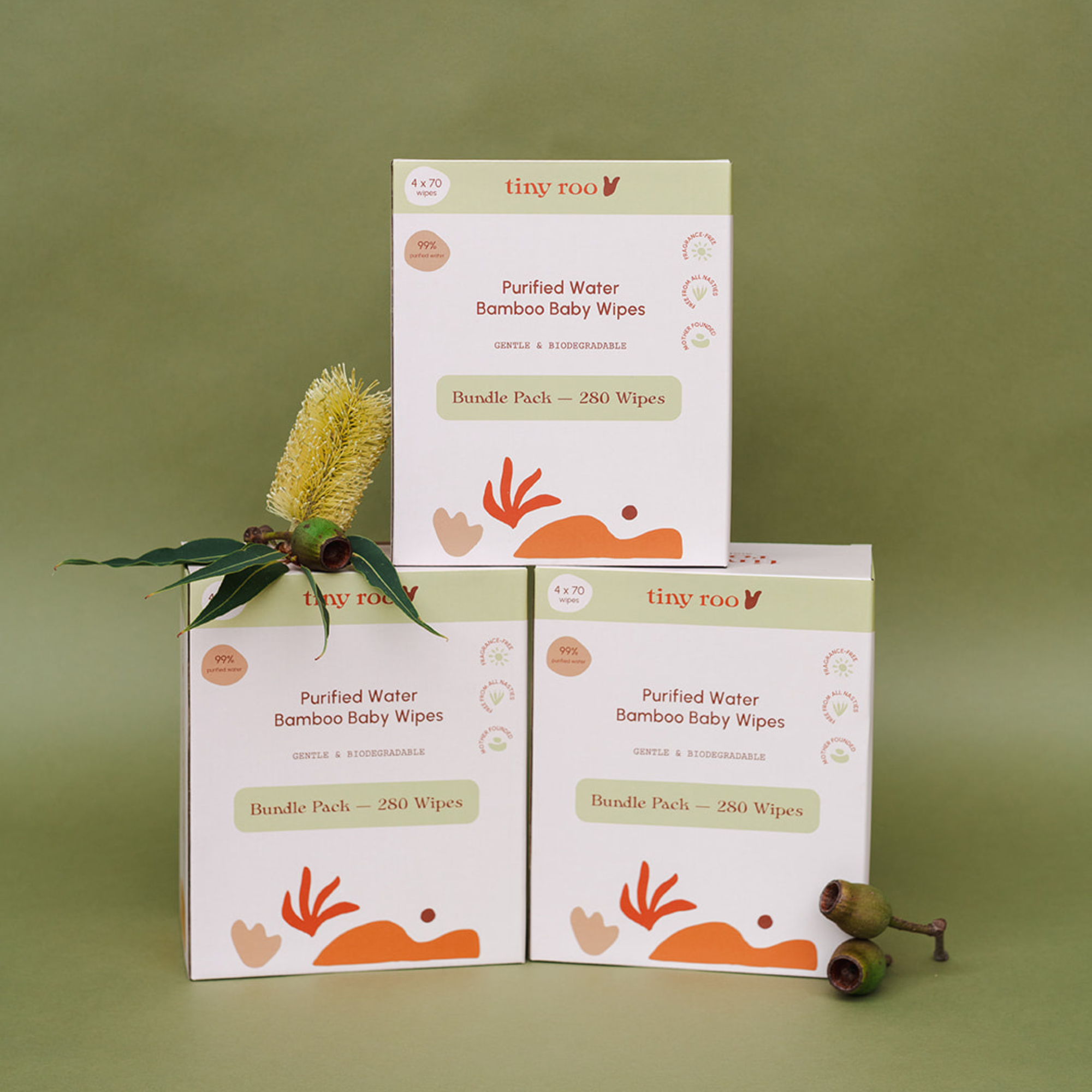 THREE MONTH SUPPLY (12x70)