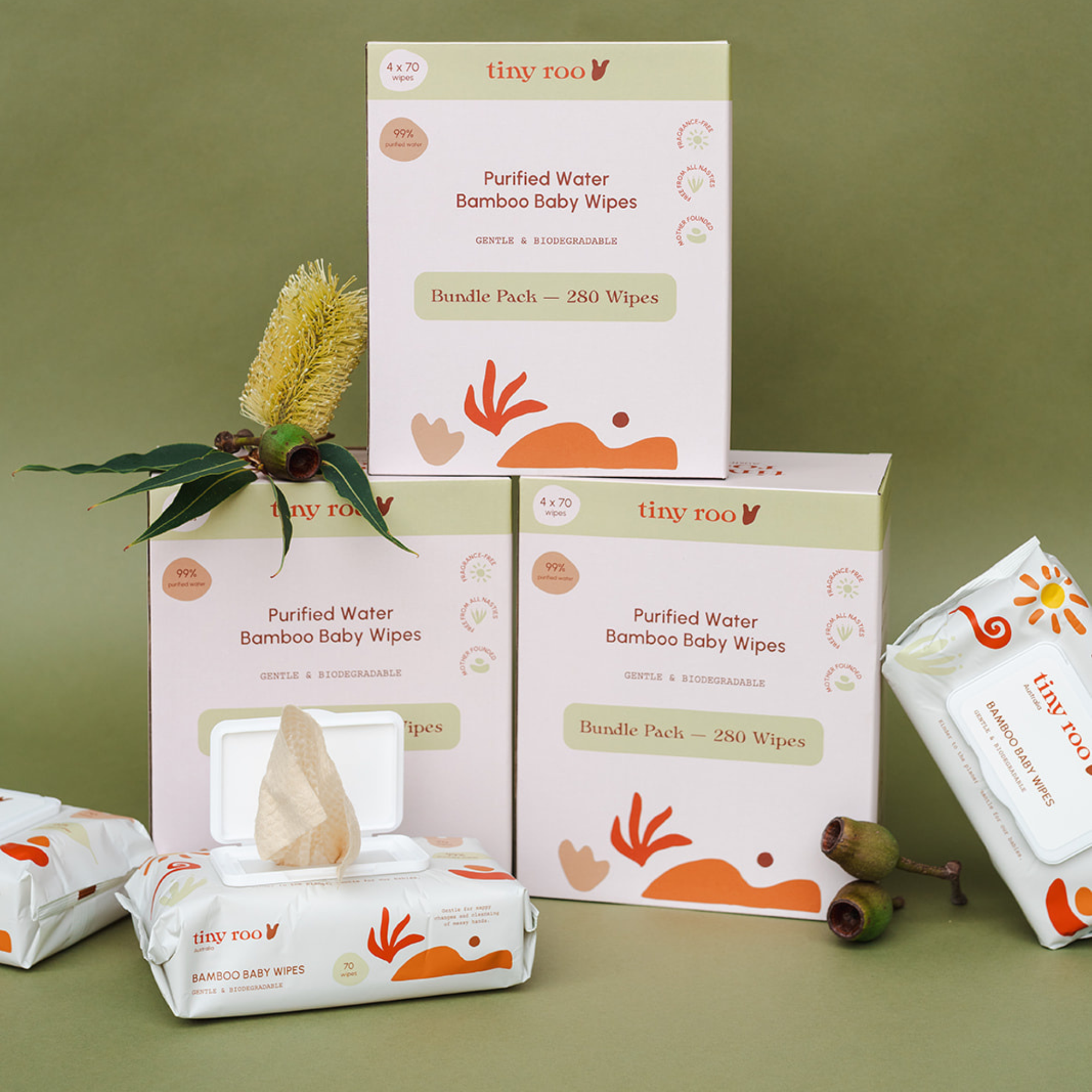 SIX MONTH SUPPLY (24x70)