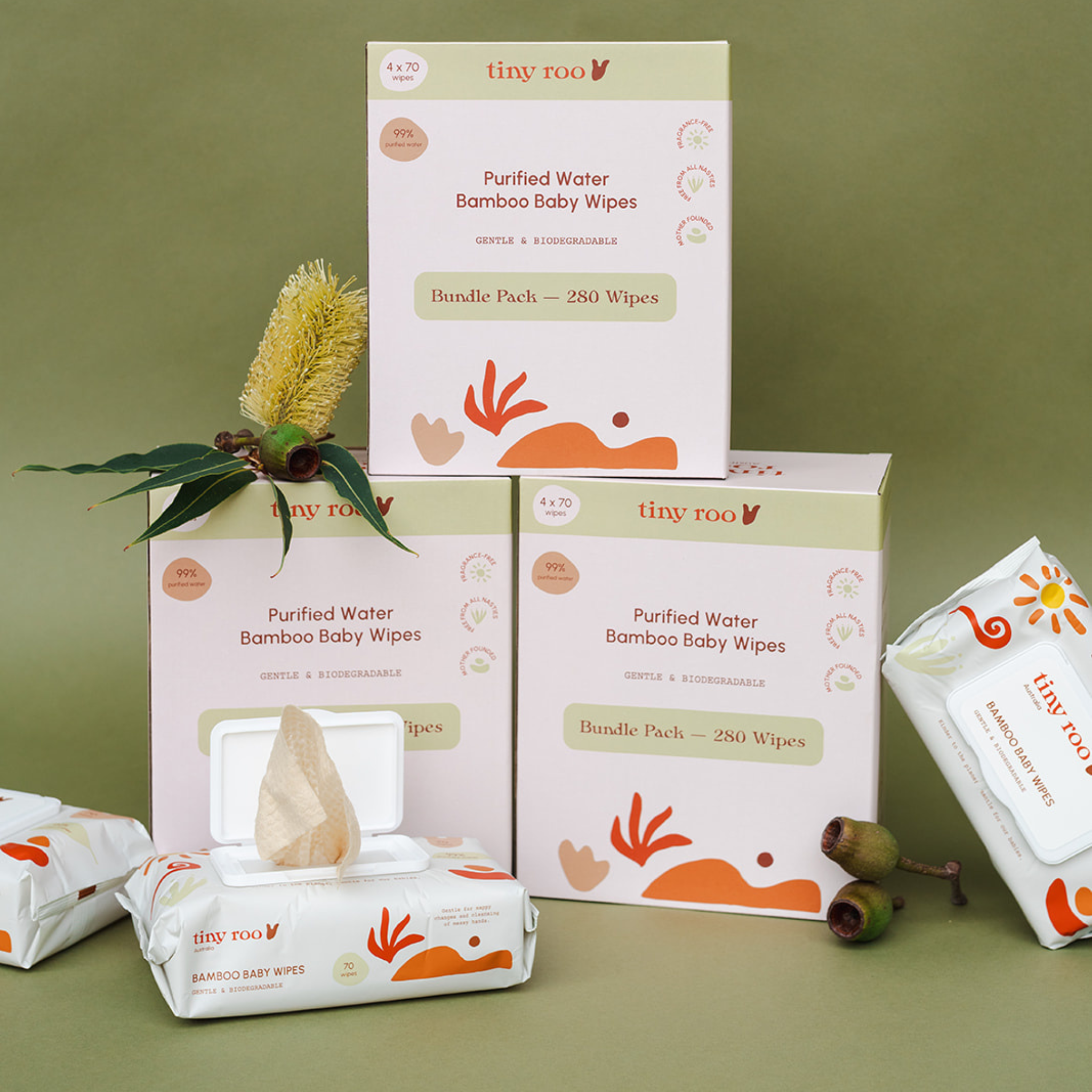 SIX MONTH SUPPLY (24x70)